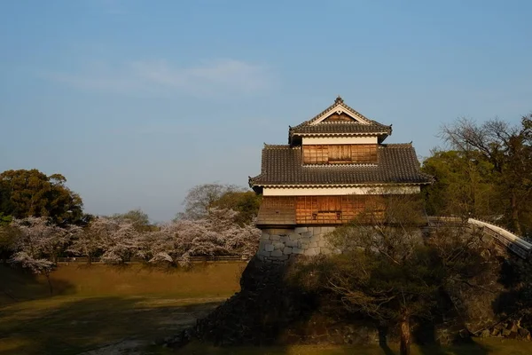 Fachada Del Castillo Kumamoto Kumamoto Japón — Foto de Stock