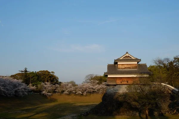 Fachada Castelo Kumamoto Kumamoto Japão — Fotografia de Stock