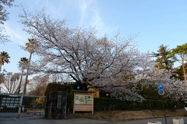 Façade Château Kumamoto Kumamoto Japon — Photo