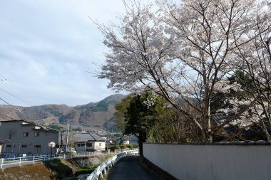 Kumamoto caddeleri Japonya, Kumamoto 'da ön cephe.