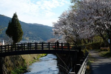 Kumamoto caddeleri Japonya, Kumamoto 'da ön cephe.