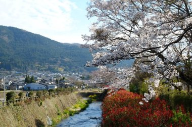 Kumamoto caddeleri Japonya, Kumamoto 'da ön cephe.