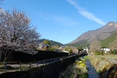 Kumamoto caddeleri Japonya, Kumamoto 'da ön cephe.