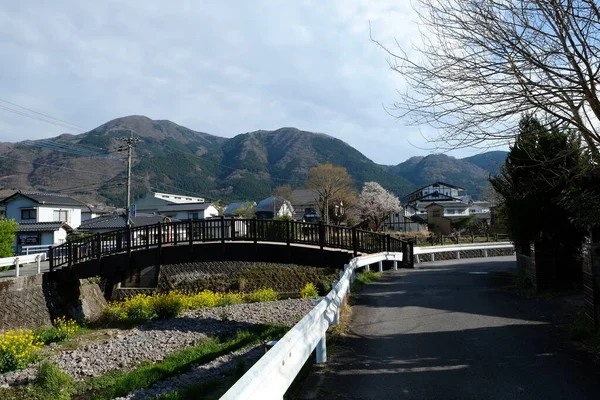 Facciata Delle Strade Kumamoto Kumamoto Giappone — Foto Stock