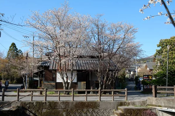 日本熊本的熊本街道立面 — 图库照片