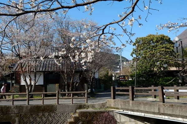 Kumamoto Caddeleri Japonya Kumamoto Cephe — Stok fotoğraf