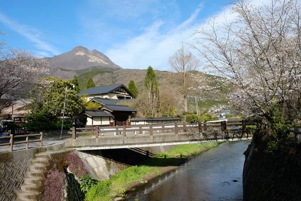 Fachada Ruas Kumamoto Kumamoto Japão — Fotografia de Stock