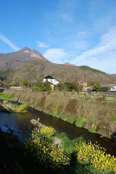 日本熊本的熊本街道立面 — 图库照片