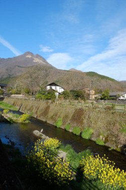 Kumamoto caddeleri Japonya, Kumamoto 'da ön cephe.