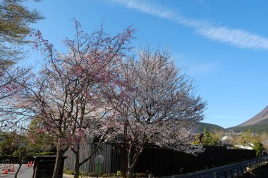 Kumamoto caddeleri Japonya, Kumamoto 'da ön cephe.