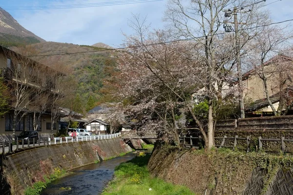 Fachada Las Calles Kumamoto Kumamoto Japón —  Fotos de Stock