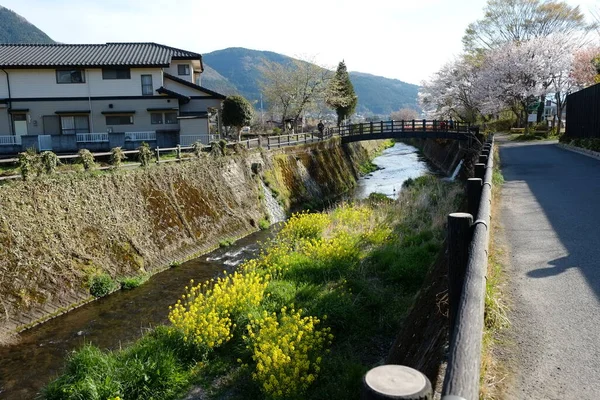 Kumamoto Ulice Fasáda Kumamoto Japonsko — Stock fotografie