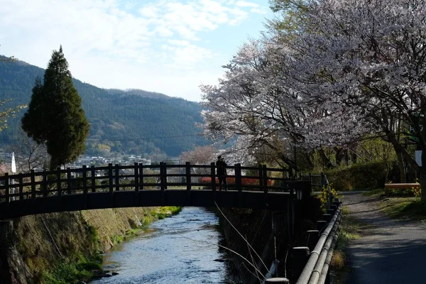 Kumamoto caddeleri Japonya, Kumamoto 'da ön cephe.