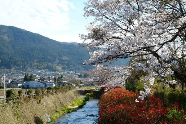Kumamoto caddeleri Japonya, Kumamoto 'da ön cephe.