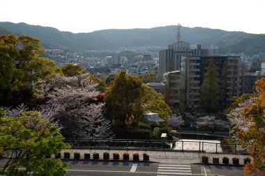 Kumamoto sokakları Japonya 'ya bakıyor