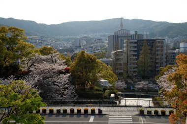 Kumamoto sokakları Japonya 'ya bakıyor