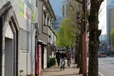 Japonya, Hiroşima 'da Itsukushima manzarası. Halk arasında Miyajima olarak bilinir..