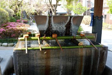 Japonya, Hiroşima 'da Itsukushima manzarası. Halk arasında Miyajima olarak bilinir..