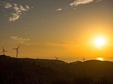 Tayvan 'da Rüzgar Türbinleri Çiftliği.