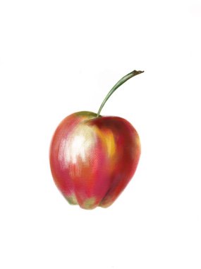 kırmızı elma, pastel, arka plan, çizim, illüstrasyon izole