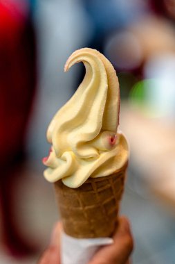 SoftICE karnavalda bir gözleme