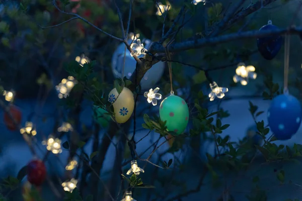 Le uova di Pasqua pendono da un albero e sono illuminate indirettamente con una serie di luci — Foto Stock