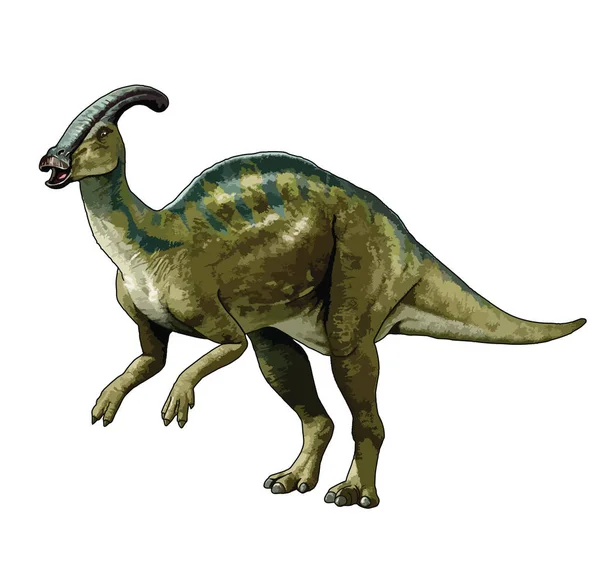 Illustrazione Stile Comico Vettoriale Isolato Dinosauro Parasaurolophus Piedi — Foto Stock