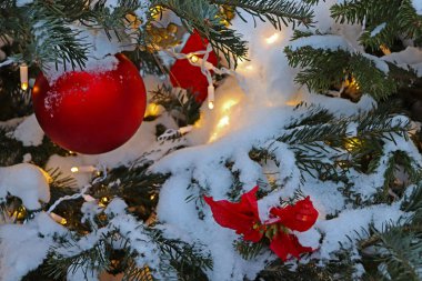 büyük kırmızı topu ve doğal yeşil, kar, bir sürü kırmızı Atatürk çiçeği fenerleri