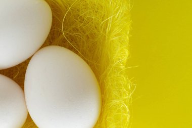 Kuş yuvası, Paskalya tatil dekorasyon, Paskalya kavramı arka plan beyaz yumurta. Yumurta avlamak.