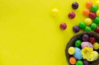 Kuş yuvası renkli yumurtalar. Paskalya tatil dekorasyon, Paskalya kavramı arka plan. Yumurta avlamak.