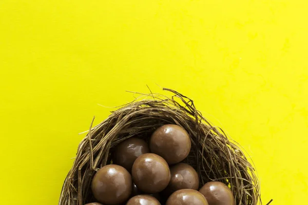Œufs en chocolat dans le nid d'oiseaux, décorations de vacances de Pâques, fond de concept de Pâques. Chasse aux œufs . — Photo