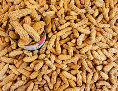 fıstık çevresinde bir kutu