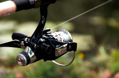 Çim Zemin üzerinde Besleyici öğesi