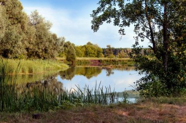 Nehir, orman ve fisherman's yerinde yaz