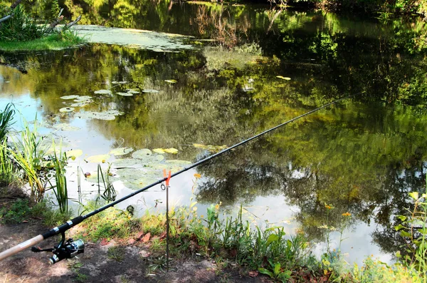 釣り竿と夏の川 — ストック写真