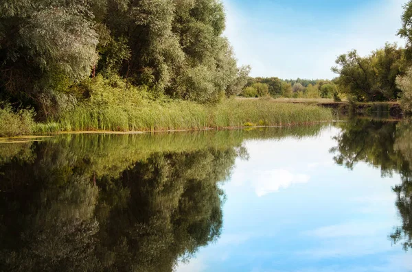 River Forest Fisherman Place Summer — стоковое фото