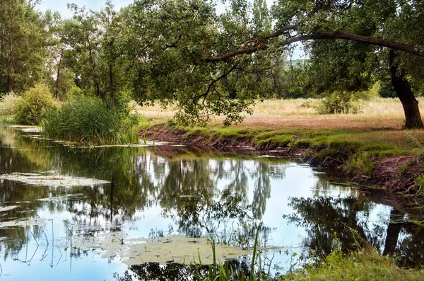 River Forest Fisherman Place Summer — стоковое фото