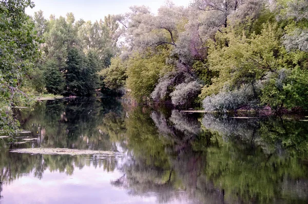 River Forest Fisherman Place Summer — стоковое фото