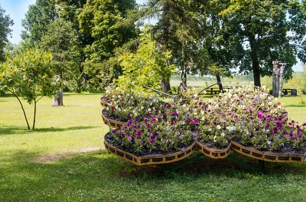 夏の緑の牧草地の花壇 — ストック写真