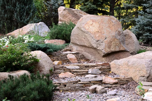 Сосна Великі Камені Літньому Парку Стокове Фото