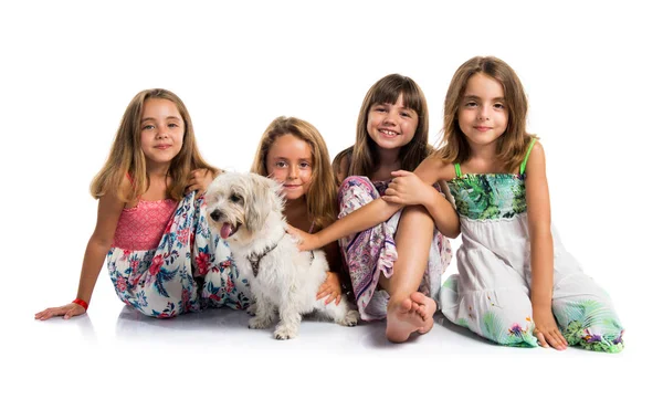 Group Girls Playing Dog Stock Picture