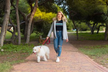 Genç kız ile bir parkta onun köpek yürüyüş