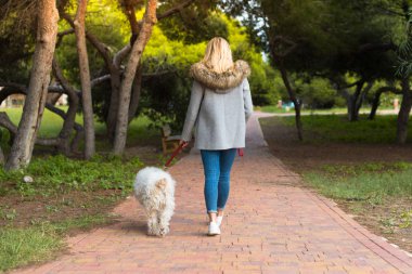 Genç kız ile bir parkta onun köpek yürüyüş