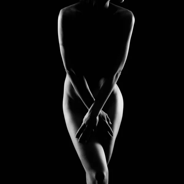 Chica Desnuda Artística Blanco Negro — Foto de Stock