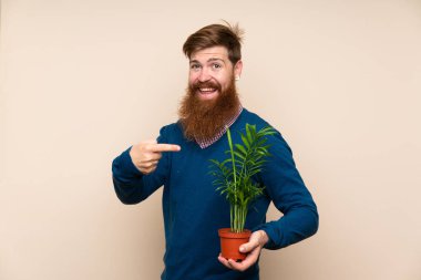 Kızıl saçlı, uzun sakallı, izole bir geçmişi olan bir adam bir saksı alıp ona doğrultuyor.