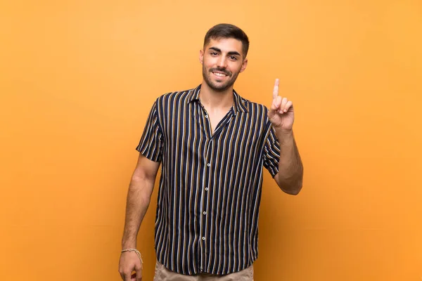 Hombre Guapo Con Barba Sobre Fondo Aislado Mostrando Levantando Dedo —  Fotos de Stock