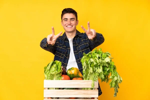 Adolescente Granjero Con Verduras Recién Recogidas Una Caja Sonriendo Mostrando — Foto de Stock