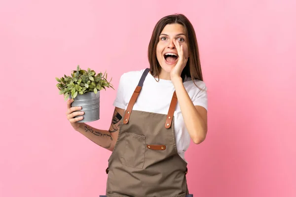 Tuinier Vrouw Houden Van Een Plant Geïsoleerd Roze Achtergrond Schreeuwen — Stockfoto