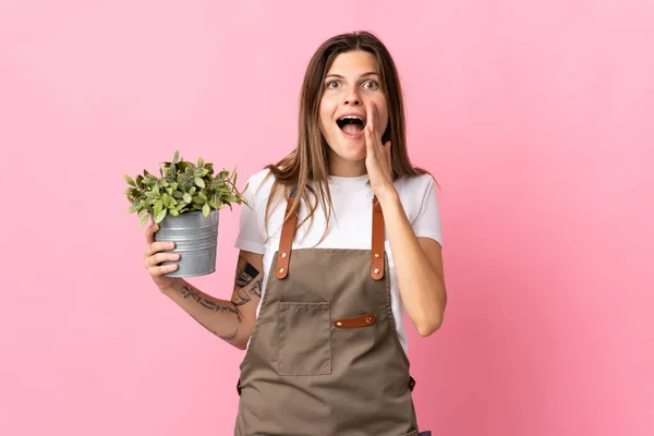 Tuinier Vrouw Houden Van Een Plant Geïsoleerd Roze Achtergrond Met — Stockfoto
