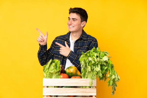 Hombre Adolescente Agricultor Con Verduras Recién Recogidas Una Caja Apuntando — Foto de Stock